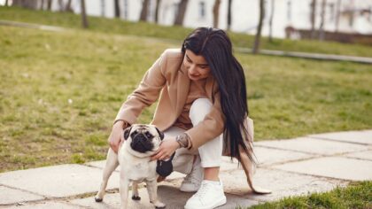Understanding calming signals in dogs: how to spot stress and support your dog kindly