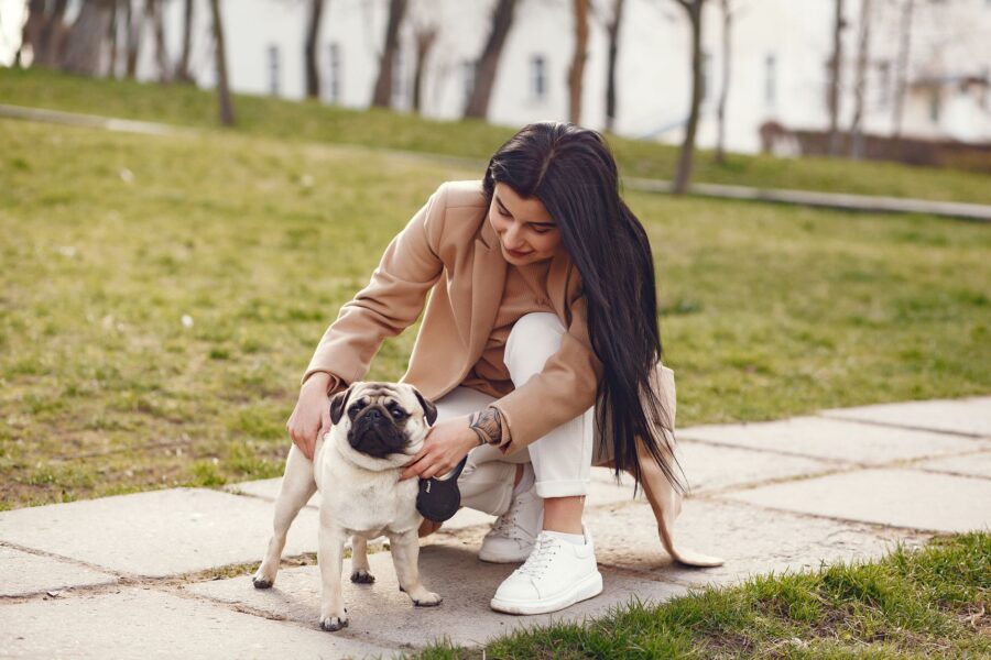 Dog calming signals