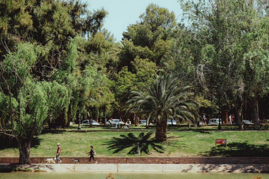Dog walking park