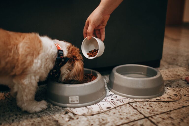 Dog kibble canned